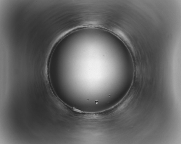 X0000089671336200707051541