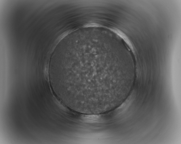 X0000089671337200707051541