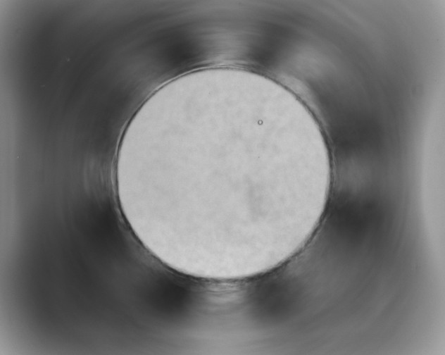 X0000089671338200707051541