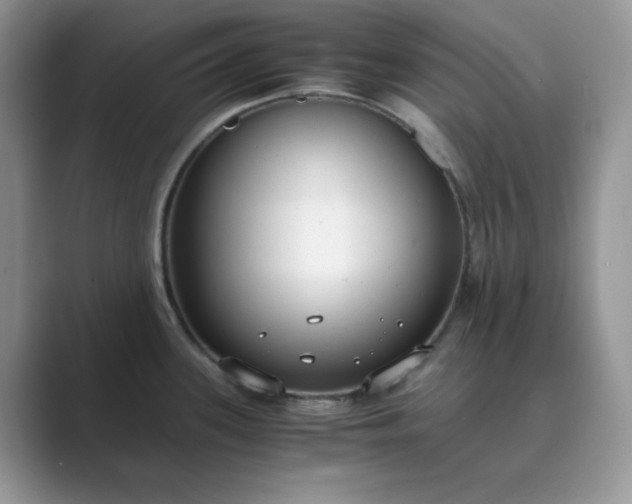 X0000089671339200707051541