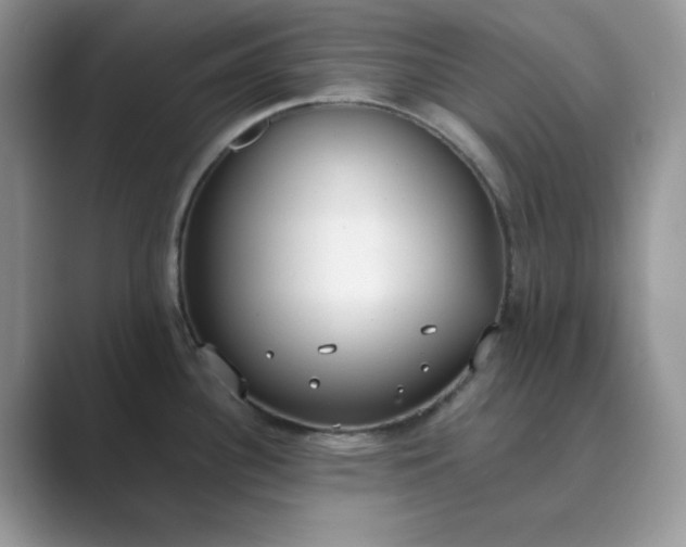 X0000089671340200707051541