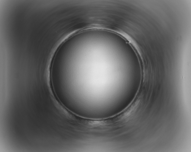 X0000089671341200707051541