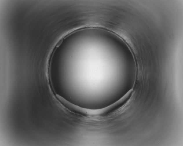 X0000089671342200707051541