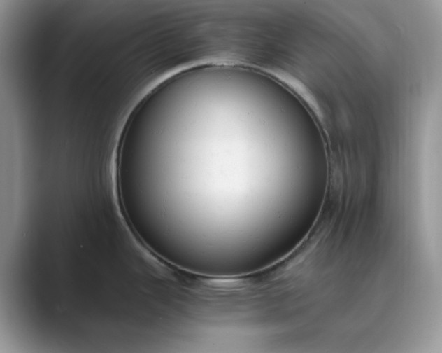 X0000089671343200707051541