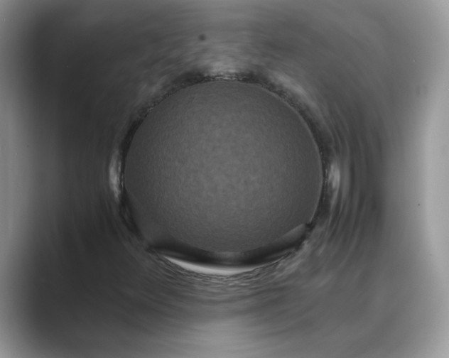 X0000089671348200707051541