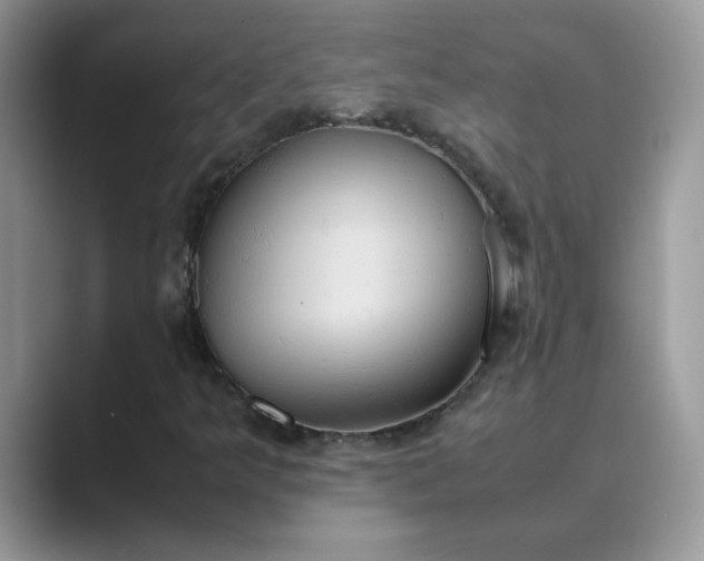 X0000089671349200707051541