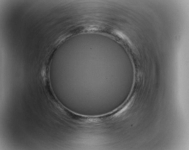 X0000089671353200707051541