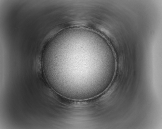X0000089671354200707051541