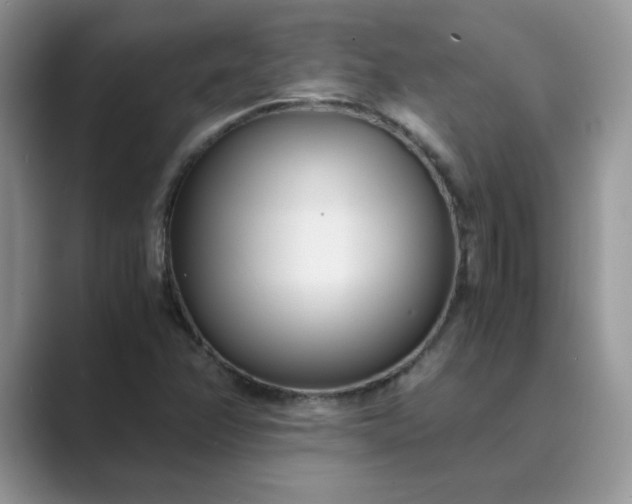 X0000089671358200707051541