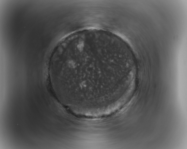 X0000089671359200707051541