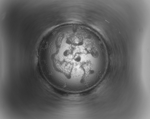 X0000089671363200707051540