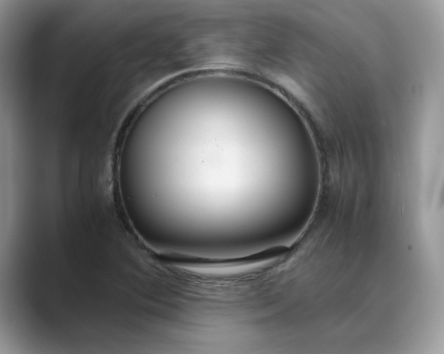 X0000089671364200707051540