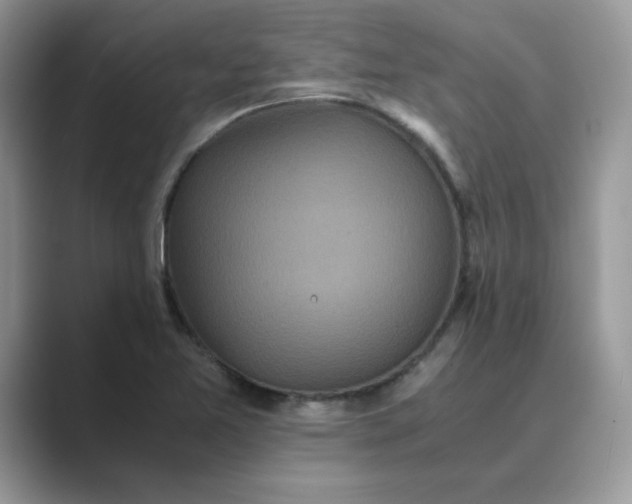 X0000089671365200707051540