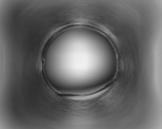 X0000089671368200707051540
