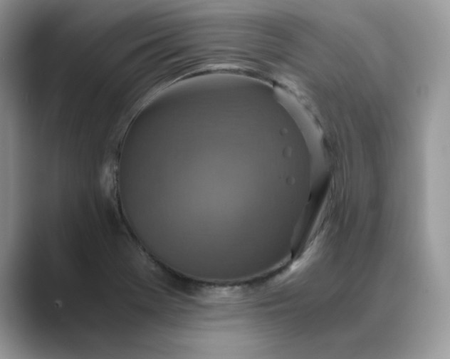 X0000089671369200707051540