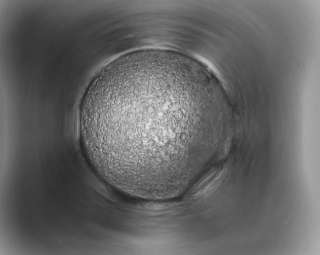 X0000089671371200707051540