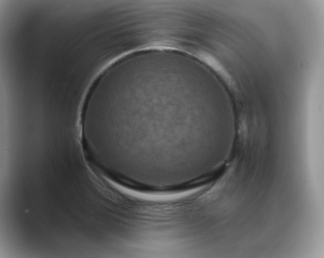X0000089671372200707051540