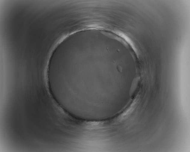 X0000089671373200707051540
