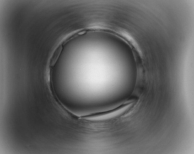 X0000089671376200707051540