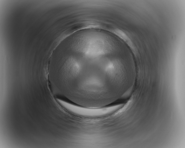 X0000089671377200707051540