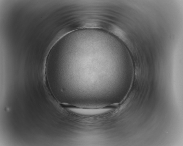 X0000089671378200707051540