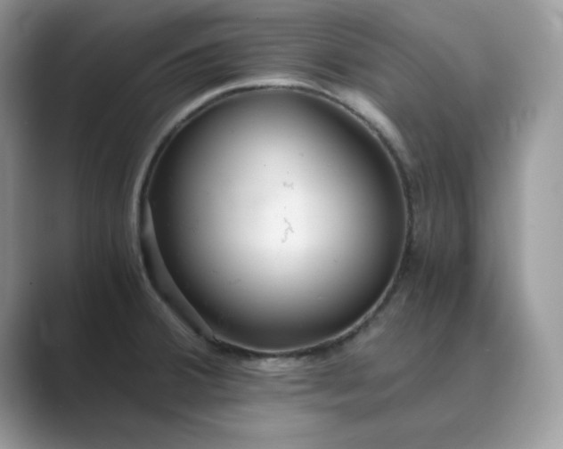 X0000089671380200707051540