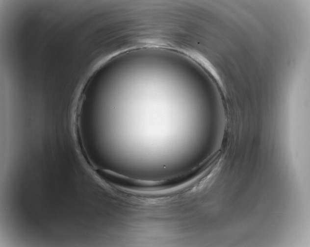 X0000089671381200707051540