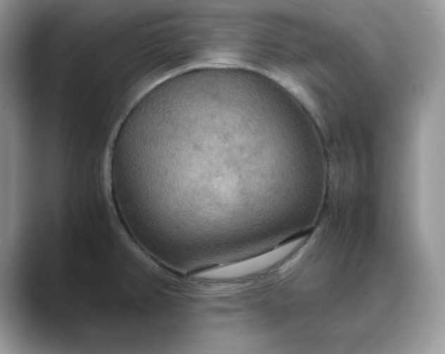 X0000089671382200707051540