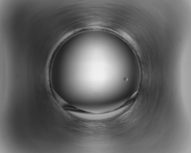 X0000089671384200707051540