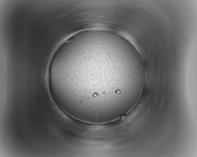 X0000089671387200707051540