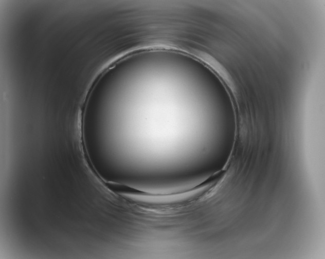 X0000089671388200707051540