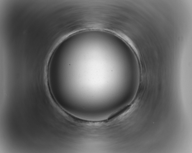 X0000089671389200707051540