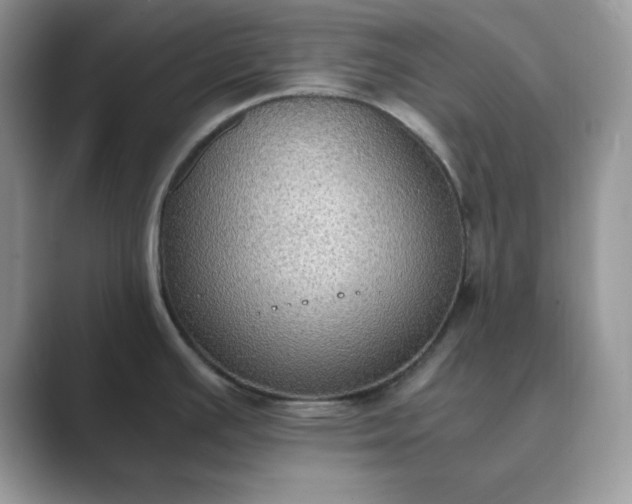X0000089671391200707051540