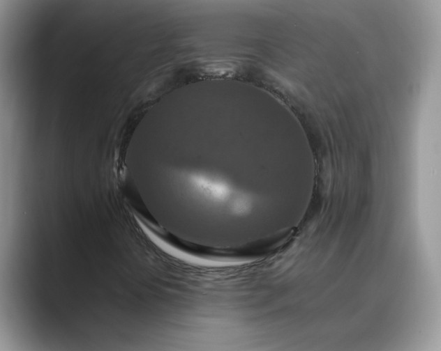 X0000089671394200707051540