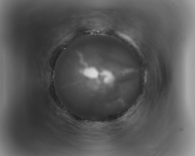X0000089671399200707051540