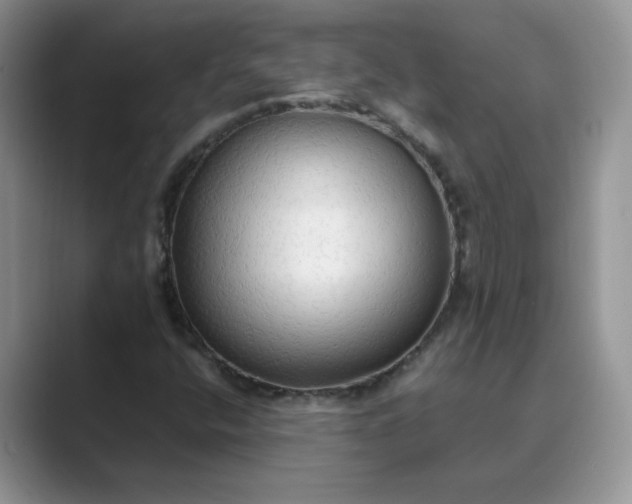 X0000089671400200707051540