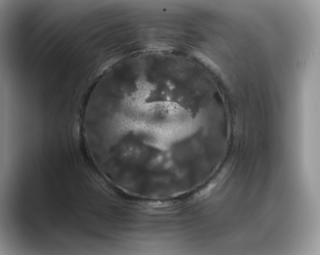 X0000089671401200707051540