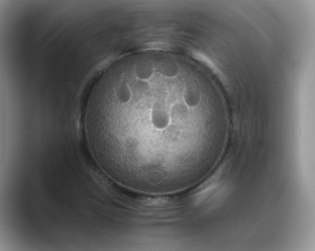 X0000089671403200707051540