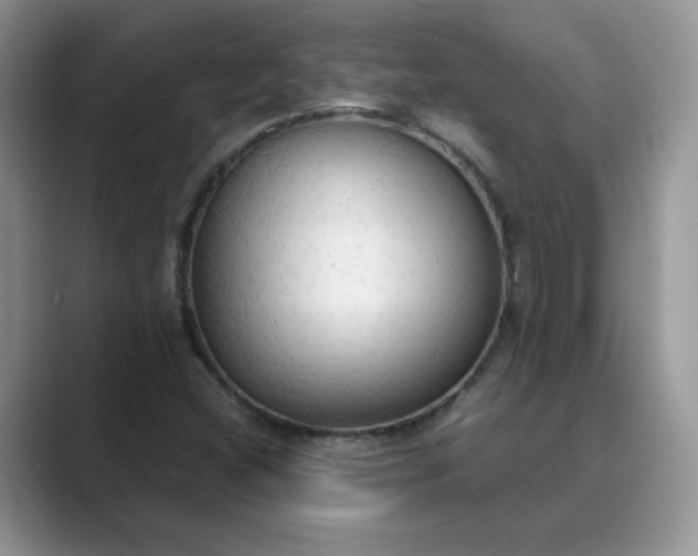 X0000089671404200707051540