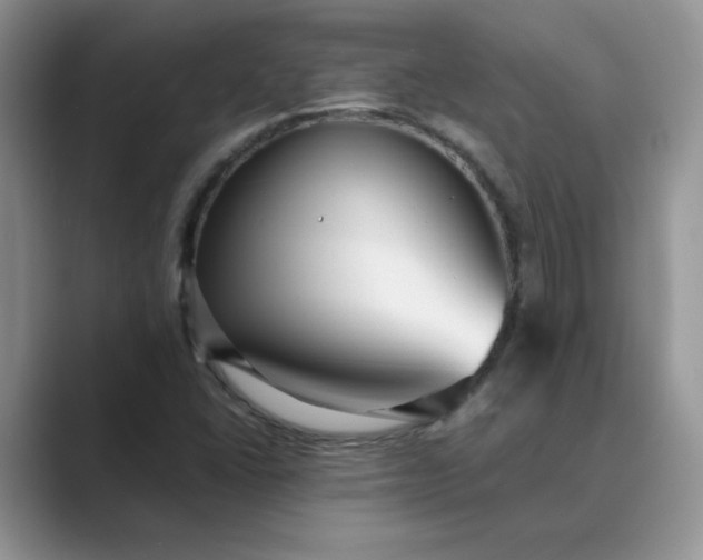 X0000089671406200707051540