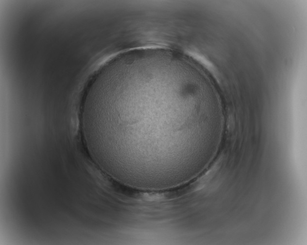 X0000089671407200707051540
