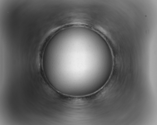 X0000089671408200707051540