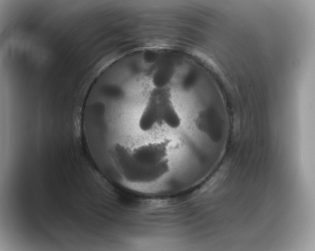 X0000089671409200707051540