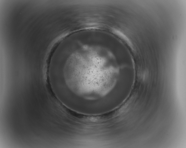 X0000089671411200707051540