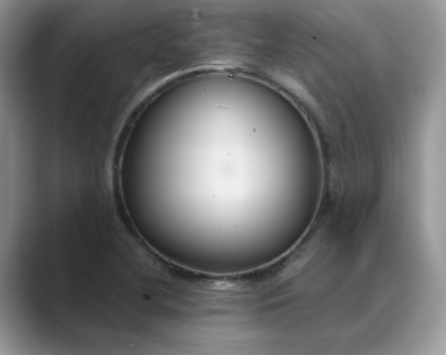 X0000089671412200707051540