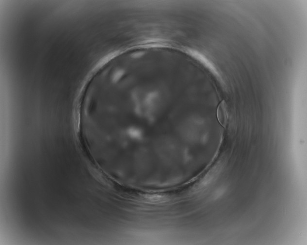 X0000089671413200707051540