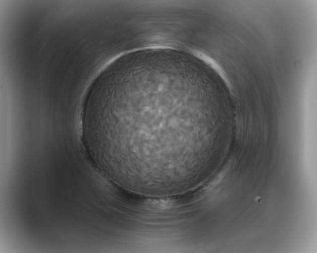 X0000089671415200707051540