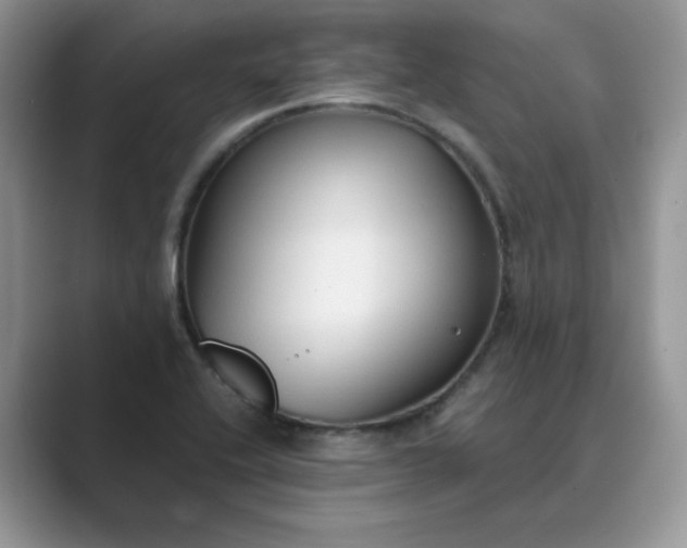 X0000089671416200707051540
