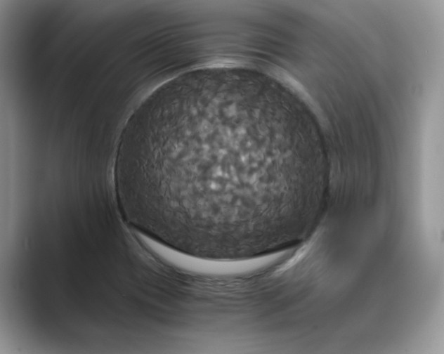 X0000089671417200707051540