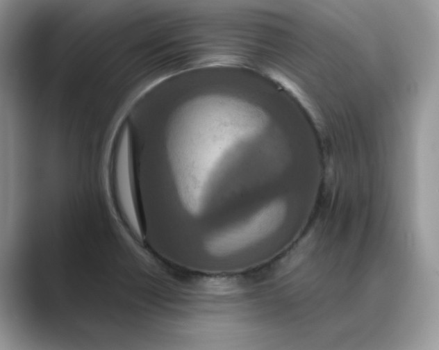 X0000089671418200707051540